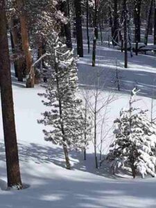 Senior Homesteading at High Elevation Image